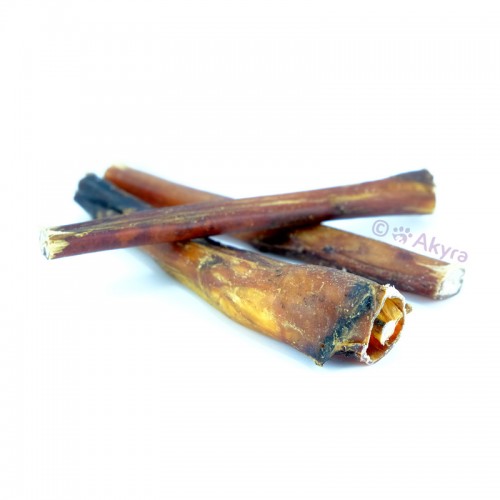 Beef pizzle 20 cm