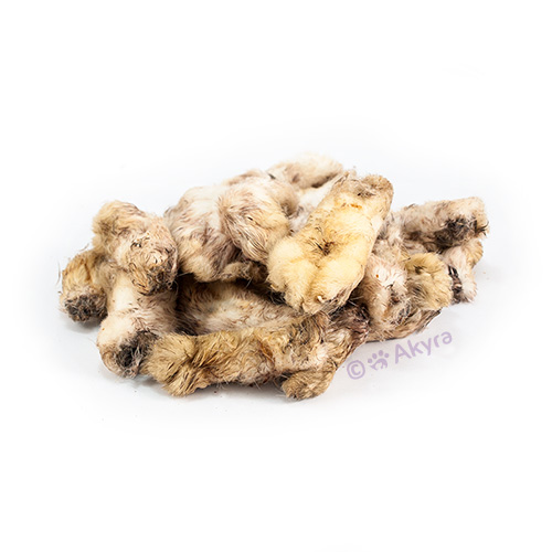 Rabbit feet with coat