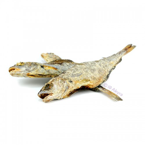 Whiting