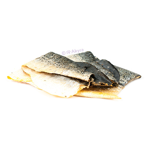 Akyra Zalmhuid