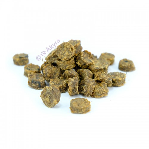 Fish coins flounder