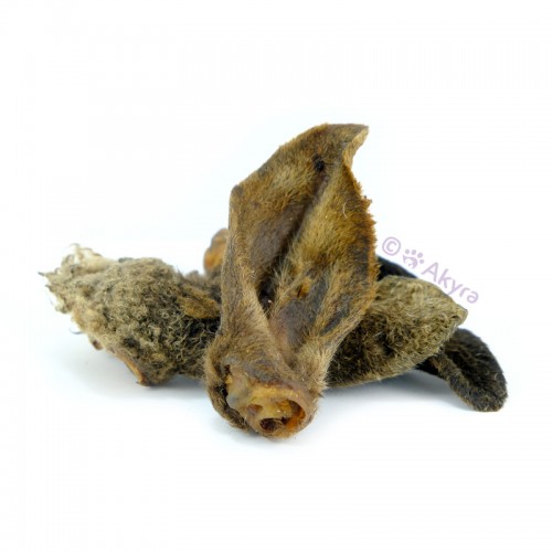 Deer ears with coat