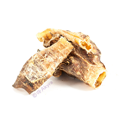 Camel windpipe