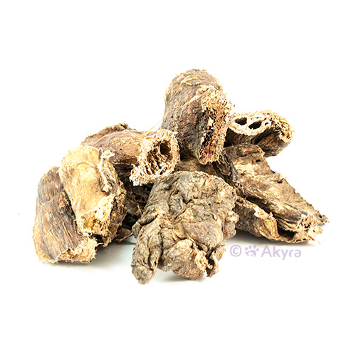 Camel lung