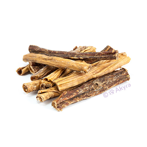 Camel esophagus